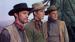 Les Chevaliers Du Texas