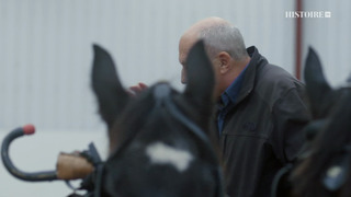 Cold cases de l'Antiquité