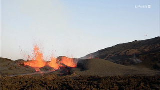 La science des forces de la nature