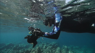 Juste sous la surface