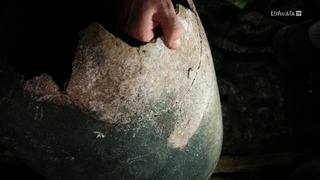 Sulawesi : expédition au coeur de l'île mystère