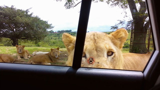 Le Must Du Ridicule - Saison 3