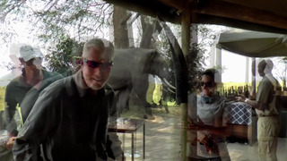 Le Must Du Ridicule - Saison 7