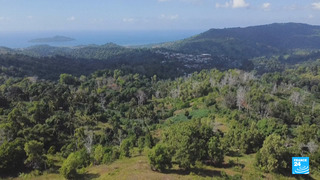 PAD FRTK ICI 1 ECOUTE WEGTER 251122 2026 Ep 11