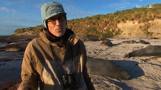 Carnet des Malouines