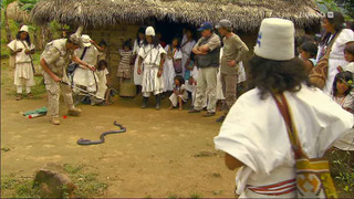 Message aux petits frères