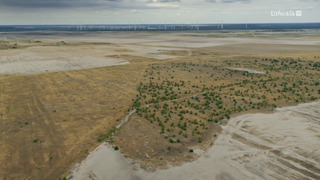 Nature : le retour du sauvage