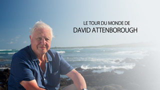 Une incroyable aventure