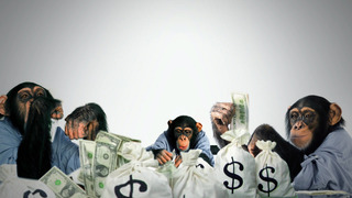 Le Must Du Ridicule - Saison 3