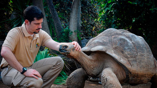 Animaux & Cie : une seconde chance