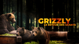Grizzly, le retour des géants