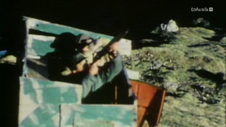 Un siècle pour les oiseaux