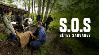 SOS Bêtes sauvages