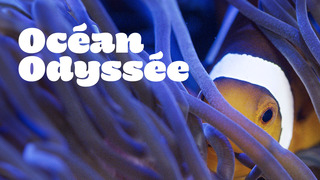 Océan Odyssée