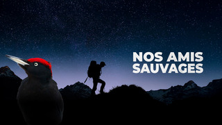 Nos amis sauvages