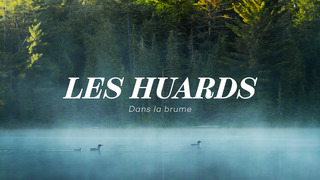 Les huards dans la brume