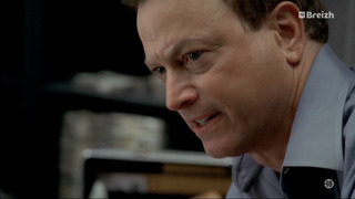 Les experts : Manhattan