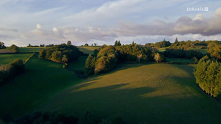Climat : mon cerveau fait l'autruche
