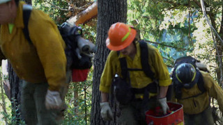 Crise climatique : les pionniers du changement
