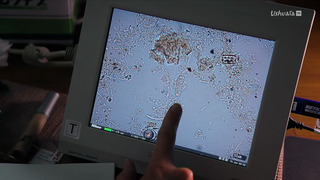 Voyage au centre de la terre