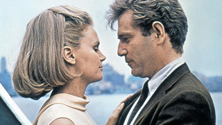 Le Refroidisseur De Dames