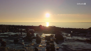 Skindigenous : tatouages et traditions