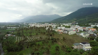 Skindigenous : tatouages et traditions