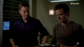 Les experts : Manhattan