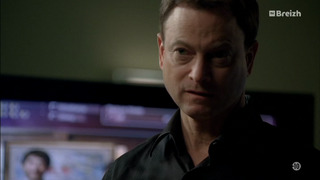 Les experts : Manhattan