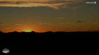 Des trains pas comme les autres