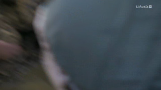 A la rencontre des crocodiles avec Steve Backshall