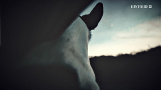 Violette Morris, sans contrefaçon