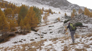 En attendant la neige