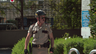Reno 911! - Saison 8