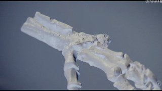 L'épopée des dinosaures avec Stephen Fry