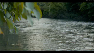 Kogis, un voyage pour soigner la Terre