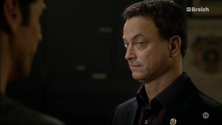 Les experts : Manhattan