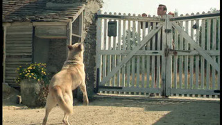 Mais où est donc passée la 7ème Compagnie ?