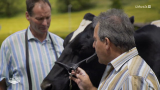 Des trains pas comme les autres