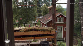 Des trains pas comme les autres