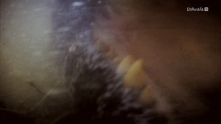 Les survivants ultimes de la nature