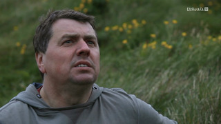 Islande, le sanctuaire des macareux