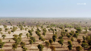 Les survivants ultimes de la nature