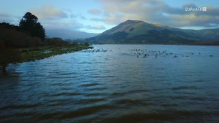 Skindigenous : tatouages et traditions