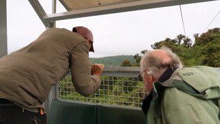 Francis Hallé, le passeur d'arbres