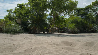 L'Indonésie sauvage