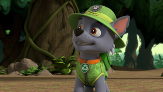 La Pat' Patrouille - Saison 8