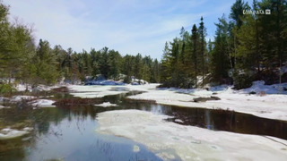 Skindigenous : tatouages et traditions