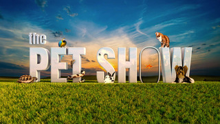 The Pet Show