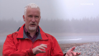 Les pionniers du Nouveau Monde